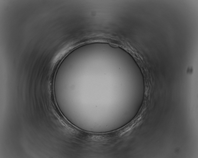 X0000091710341200708241001