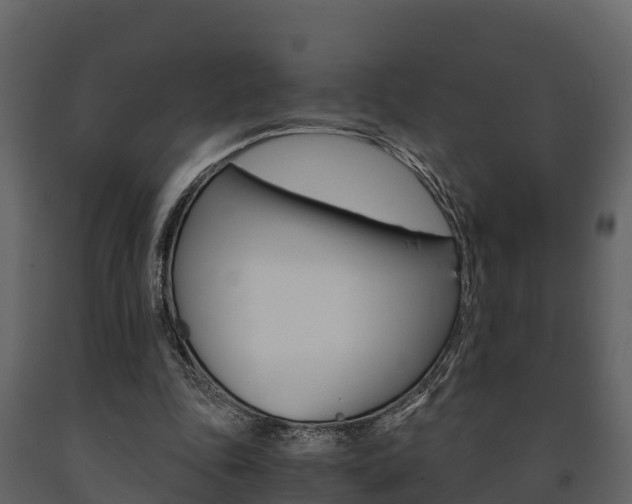 X0000091710343200708241001