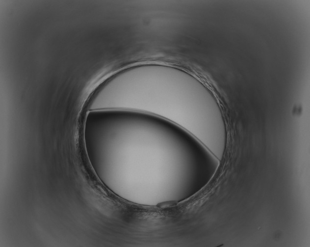 X0000091710344200708241001