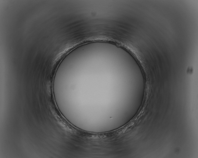 X0000091710345200708241001