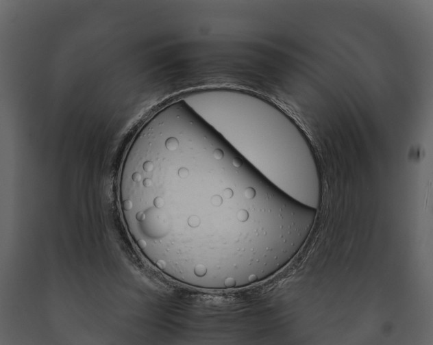 X0000091710347200708241001