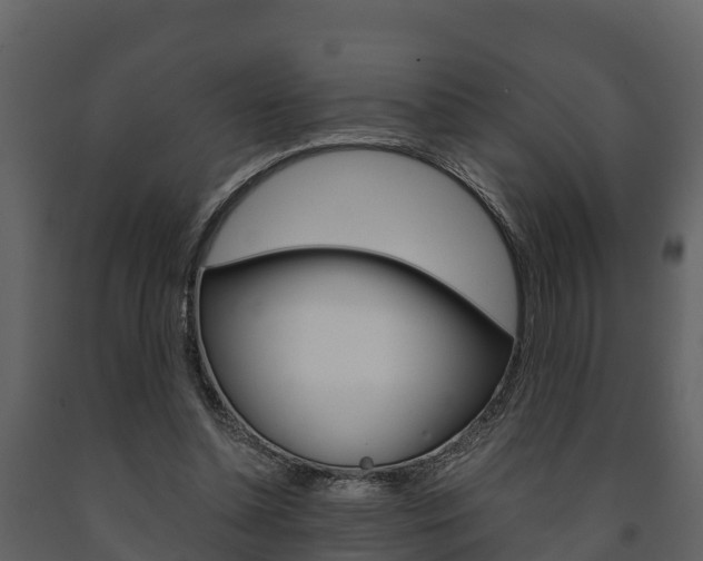 X0000091710348200708241001