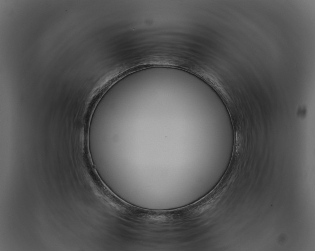 X0000091710349200708241001
