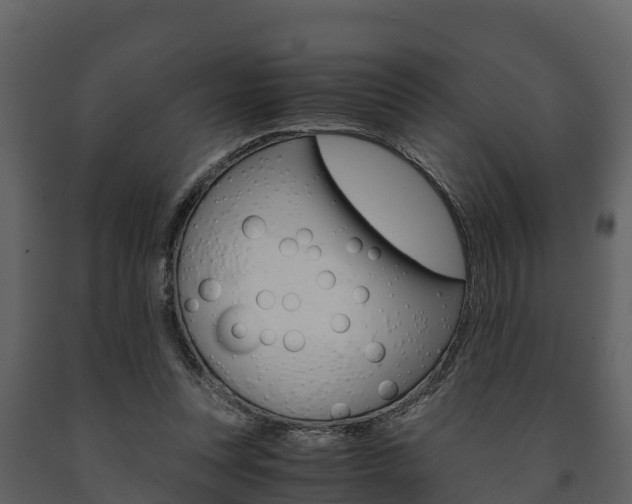 X0000091710351200708241001