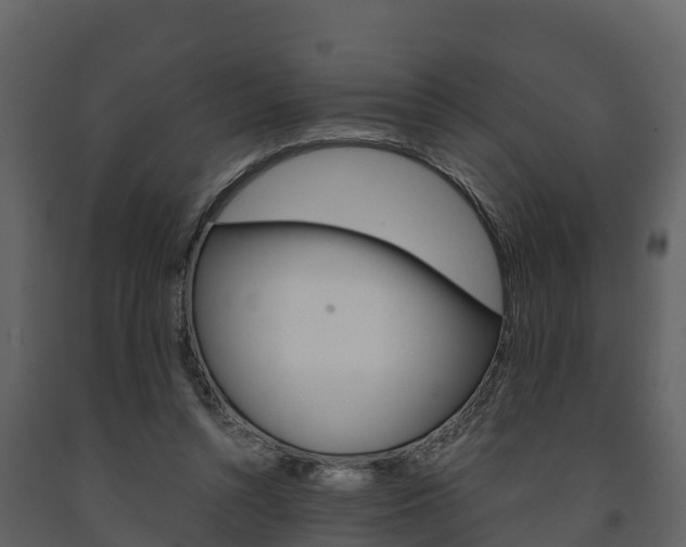 X0000091710352200708241001