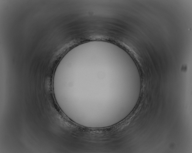 X0000091710353200708241001
