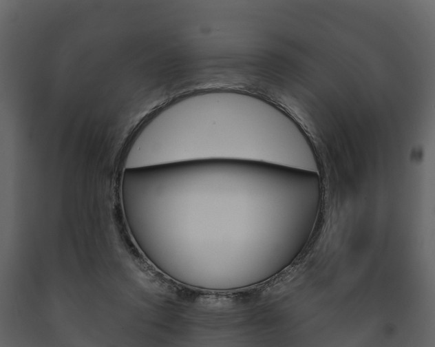 X0000091710354200708241001