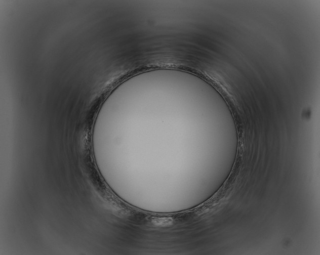 X0000091710355200708241002
