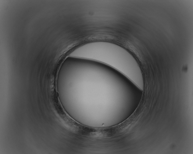 X0000091710356200708241002