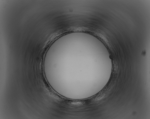 X0000091710357200708241002