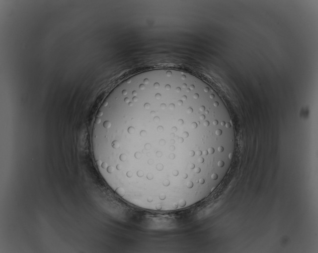 X0000091710359200708241002