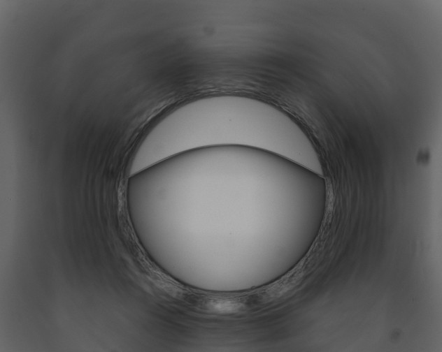 X0000091710360200708241002
