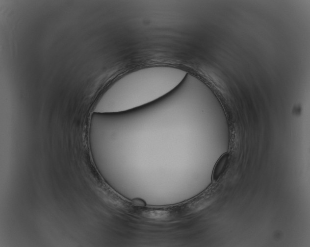 X0000091710361200708241002