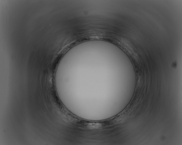 X0000091710363200708241002