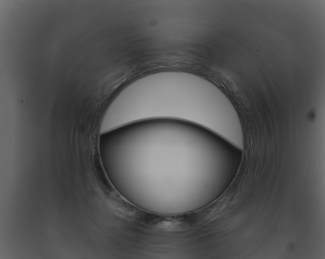X0000091710364200708241002