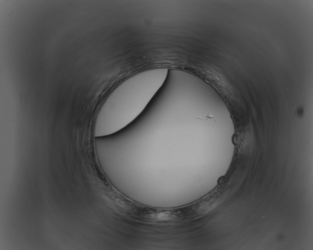 X0000091710365200708241002