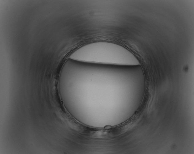 X0000091710366200708241002