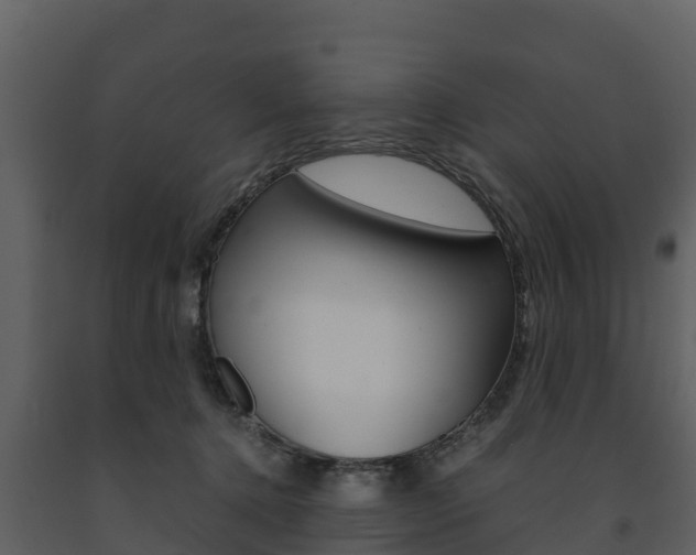 X0000091710368200708241002