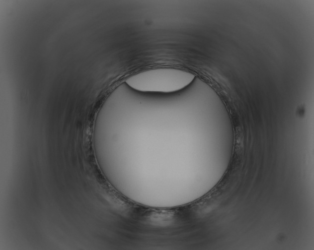 X0000091710369200708241002