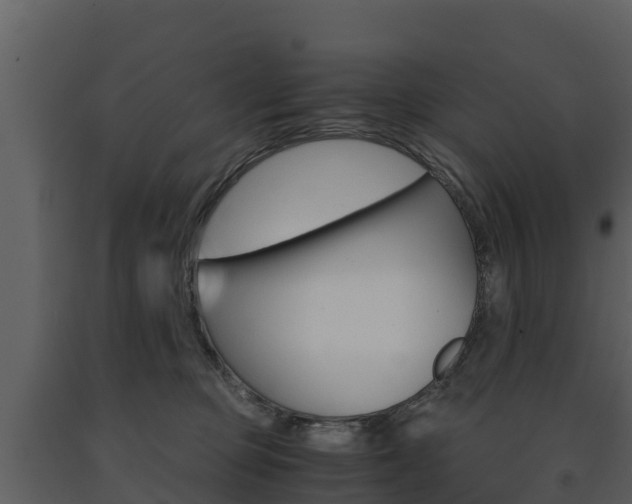X0000091710373200708241002