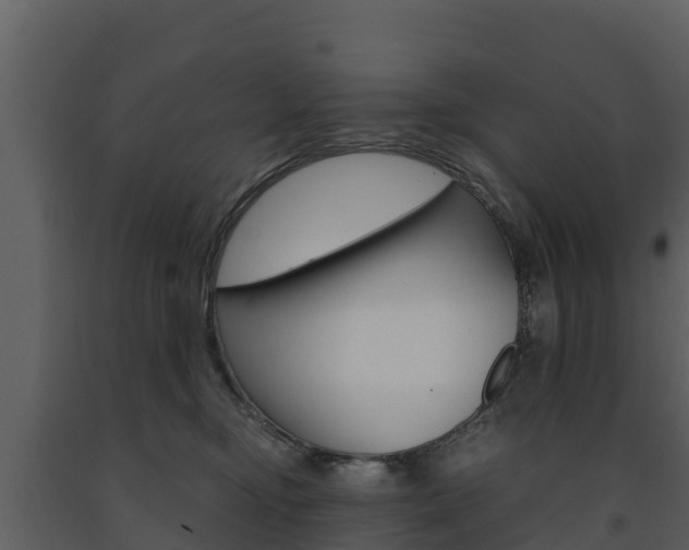 X0000091710374200708241002