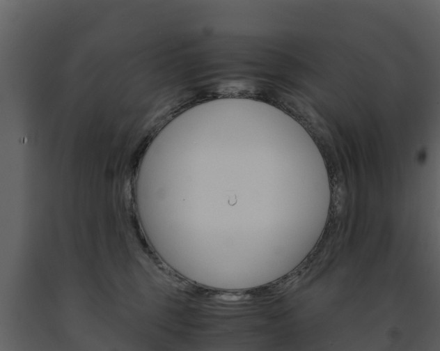 X0000091710375200708241002