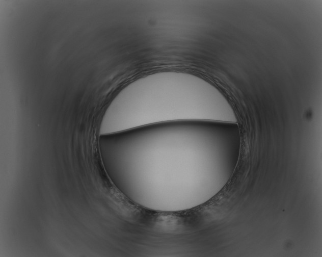 X0000091710376200708241002
