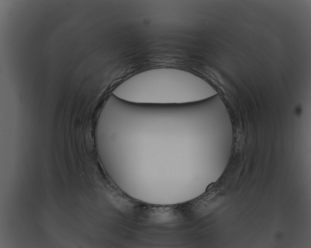 X0000091710377200708241002