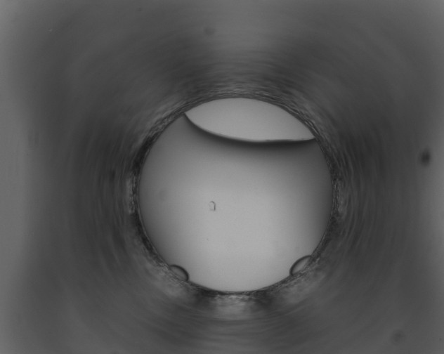 X0000091710378200708241002