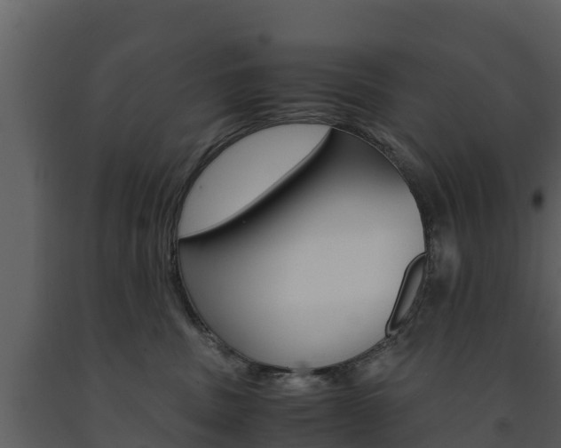 X0000091710379200708241002