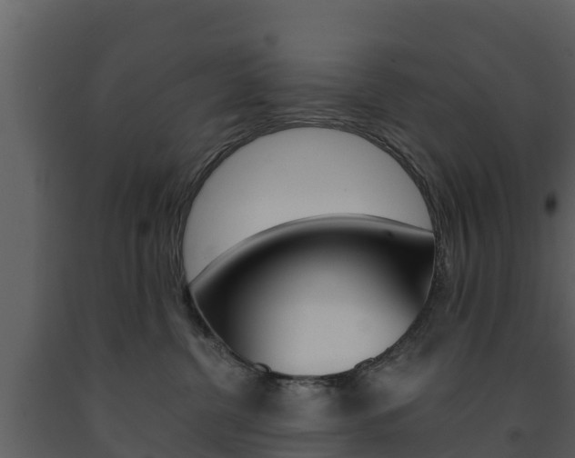 X0000091710380200708241002
