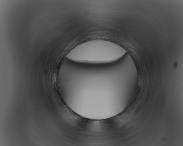 X0000091710382200708241002