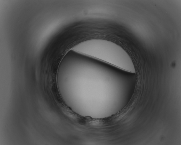 X0000091710383200708241002