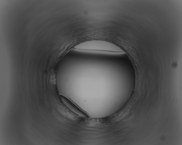 X0000091710384200708241002