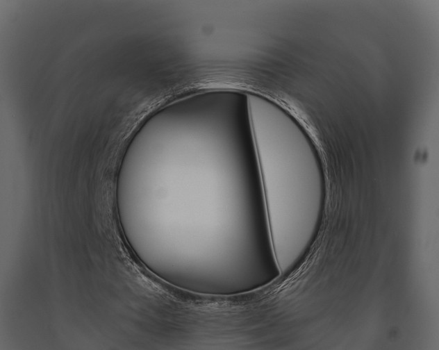 X0000091710385200708241001