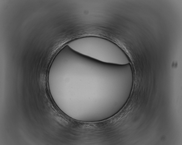 X0000091710386200708241001