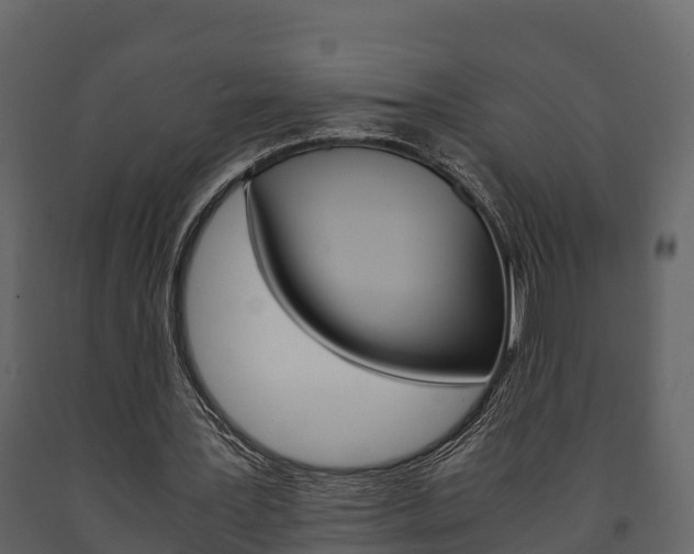 X0000091710387200708241001