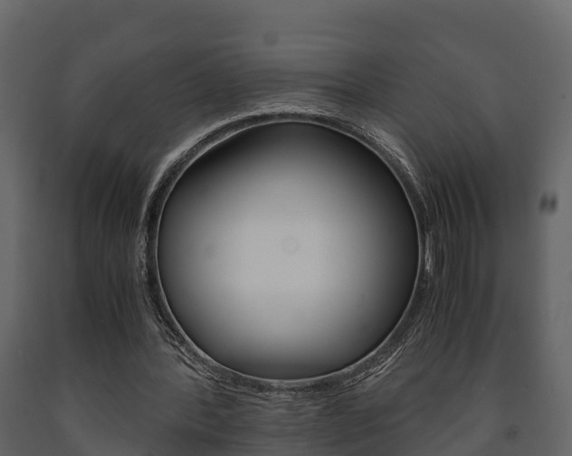 X0000091710388200708241001