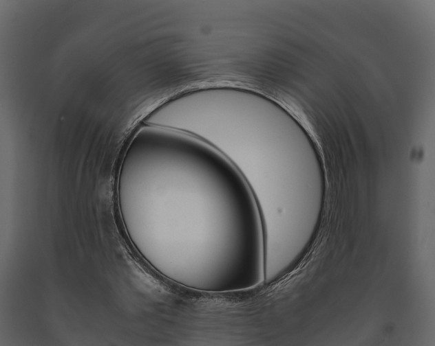 X0000091710389200708241001