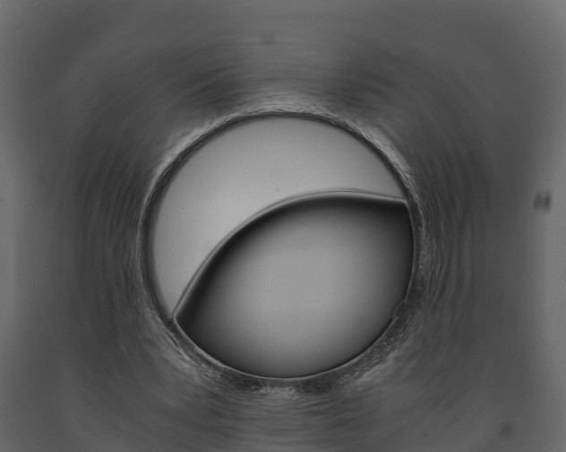 X0000091710391200708241001
