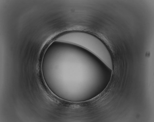 X0000091710392200708241001