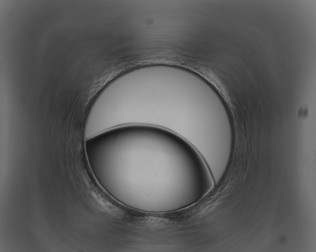 X0000091710393200708241001