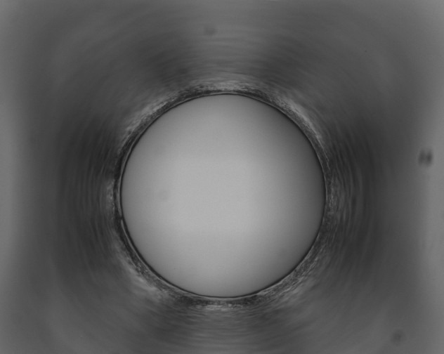 X0000091710394200708241001