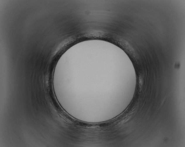 X0000091710396200708241001