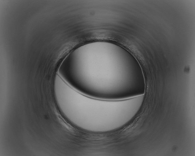 X0000091710397200708241001