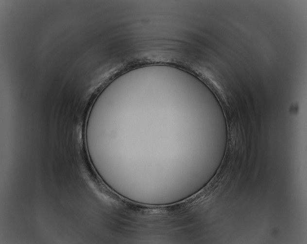 X0000091710398200708241001