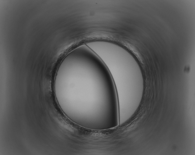 X0000091710399200708241001