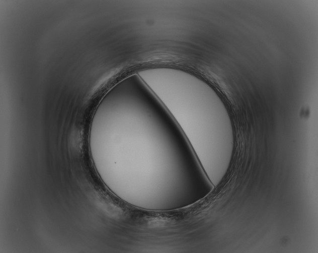 X0000091710400200708241001