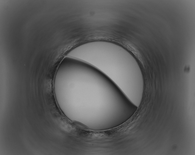 X0000091710401200708241001