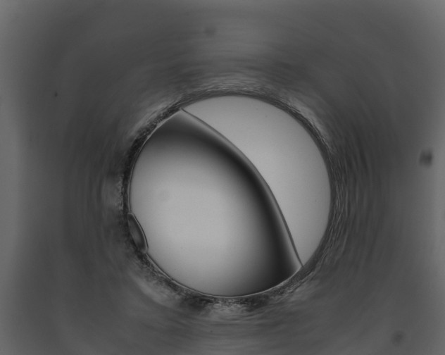 X0000091710403200708241001
